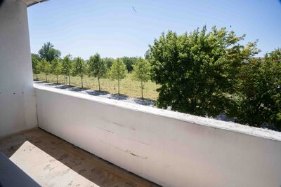 Bild 4 zum Mietangebot Perfekte Lage für lange Spaziergänge