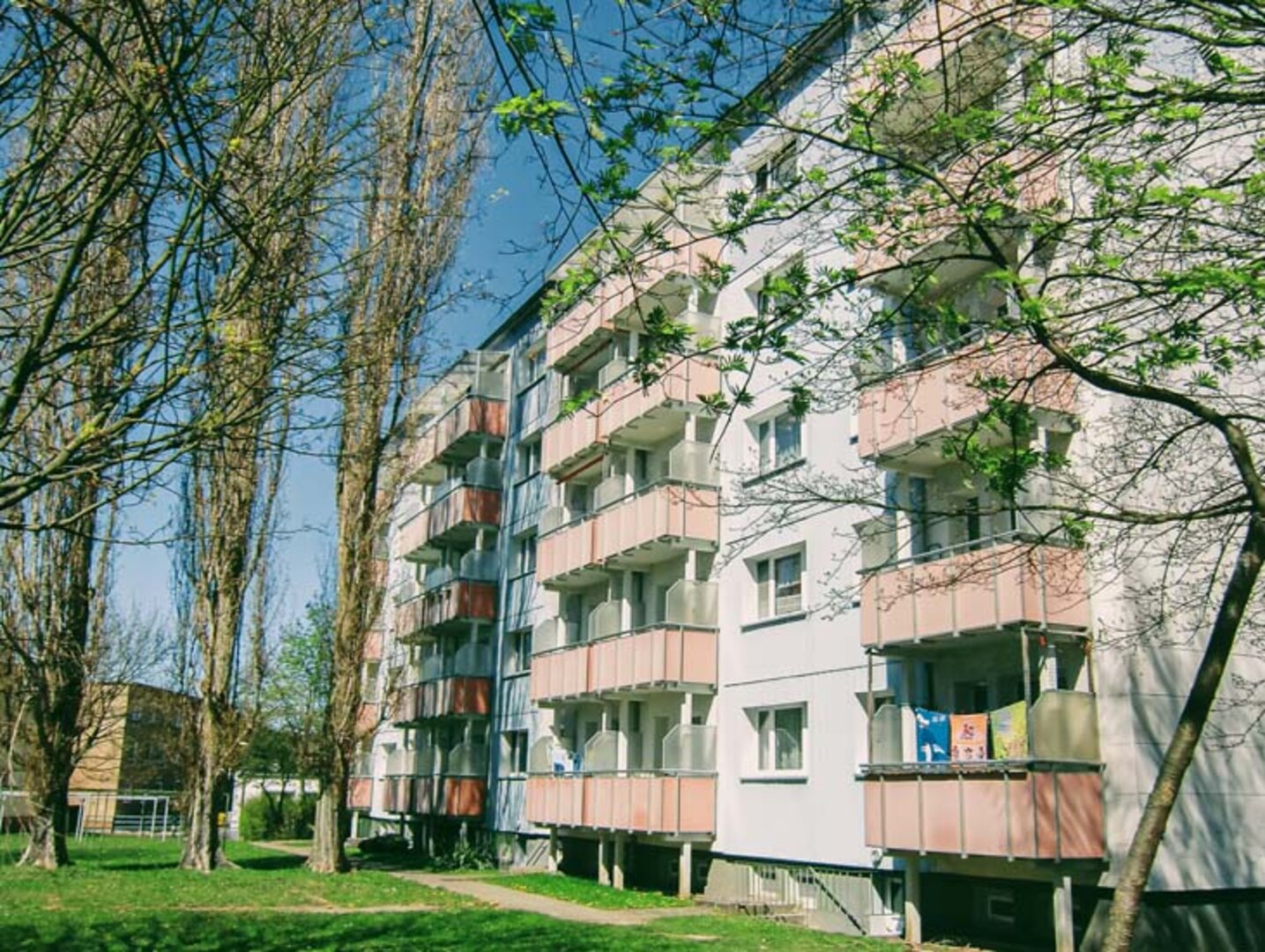 Bild 0